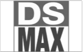 DS Max Real Estate Logo