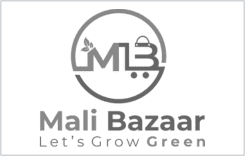 28-Mali-Bazaar-landscaping-company